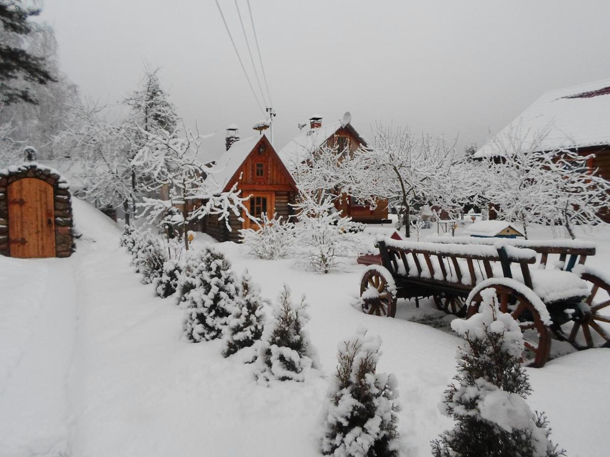 Agrousad'Ba Okolitsa Hotel Shchibri Bagian luar foto