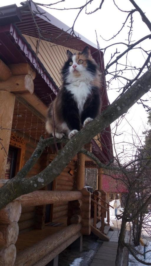 Agrousad'Ba Okolitsa Hotel Shchibri Bagian luar foto